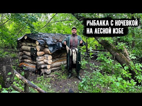 Видео: Рыбалка с ночевкой на Лесной избе/Щука на живца и караси на пружины