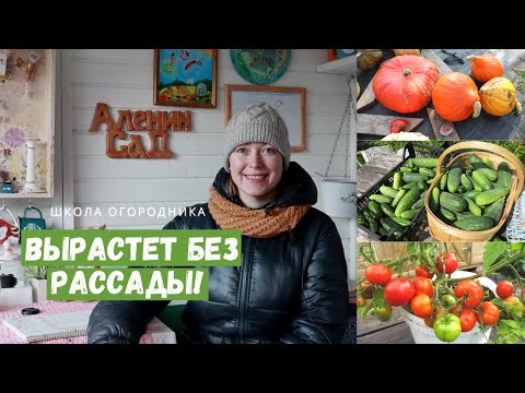 Видео: Обойдемся без рассады! / Что можно выращивать без рассады?