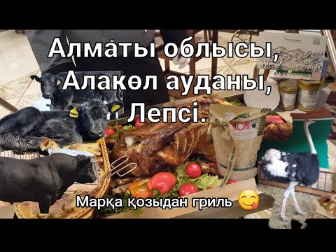 Видео: Бауыржан Оспанов. Ангус. Зубр. Бал. Страус. Мал шаруашылығы.