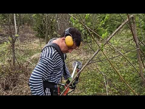 Видео: Финляндия, пилим бензокосой, чистка леса молодого....