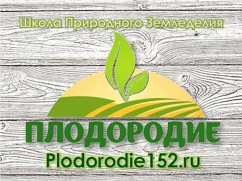 Видео: Обработка почв без перекопки