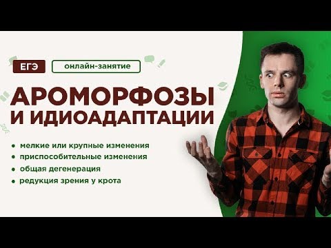 Видео: Ароморфозы и  идиоадаптации | ЕГЭ Биология | Даниил Дарвин