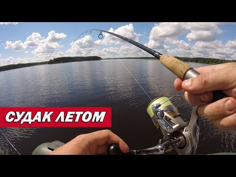 Видео: Поиск летнего судака на Волге или на что ловить судака!