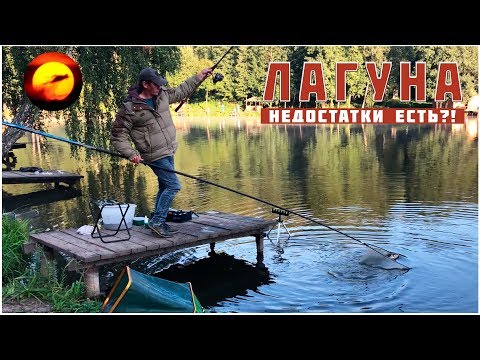 Видео: Обзор Лагуны / Ловля карпа / Рыбалка на фидер / Плюсы и минусы платного водоема / Мисайлово 2018