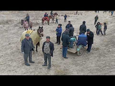 Видео: 15-ноябрь 2022 ж Конырат Бисеннин келин тойы