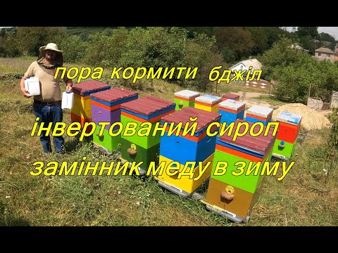 Видео: Чим кормити бджіл в зиму/ Інвертований сироп замінник меду