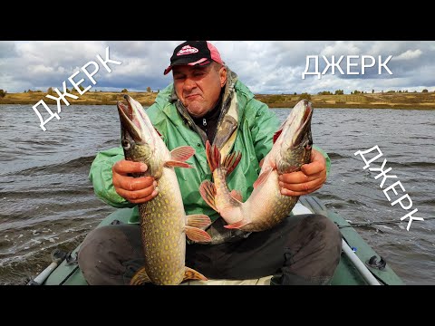 Видео: Вот какие кабаны! Рыбалка на джерк.