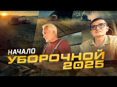 Видео: Собираем наш ПЕРВЫЙ урожай в этом году! Горох без глютена