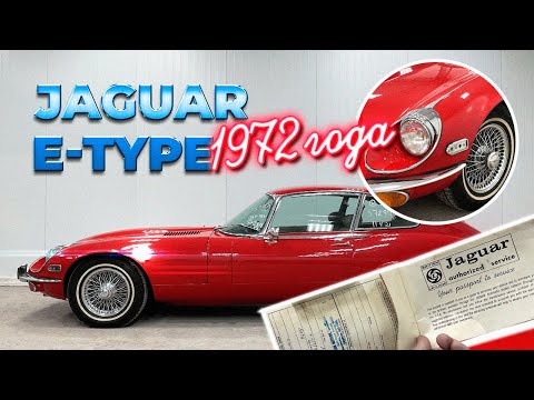 Видео: Дикая кошка из прошлого | Jaguar E-TYPE