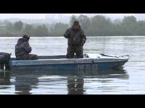 Видео: Самоловы