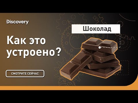 Видео: Шоколад | Как это устроено | Discovery