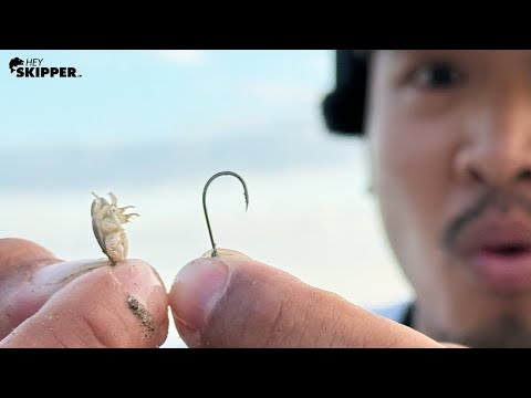 Видео: Самые маленькие приманки, которые я когда-либо использовал! Рыбалка на пляже в Калифорнии