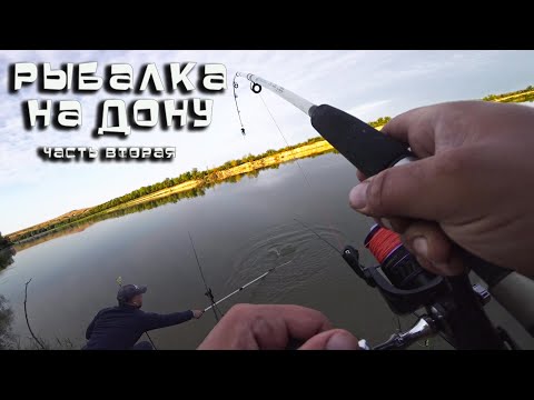 Видео: ЛОВЛЯ САЗАНА на ДОНКИ 2025 РЫБАЛКА на ДОНУ часть вторая