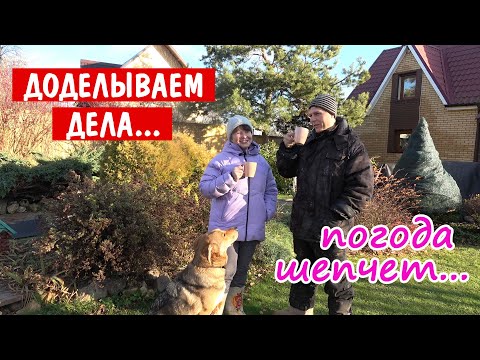 Видео: Ноябрь. Работы в саду не заканчиваются. Садовый Влог.