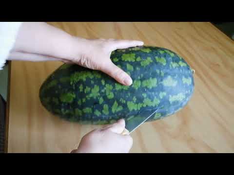 Видео: ВОТ ТАКОЙ АРБУЗ ВЫРАСТИЛА. ВПЕЧАТЛЕНИЯ ОТ КОНЦЕРТА.