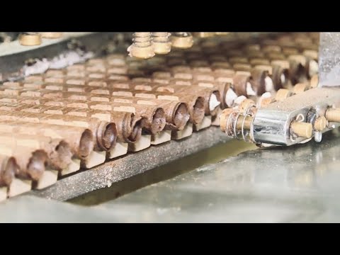 Видео: Линия по производству хрустящих рулетов с мокко на Тайване.