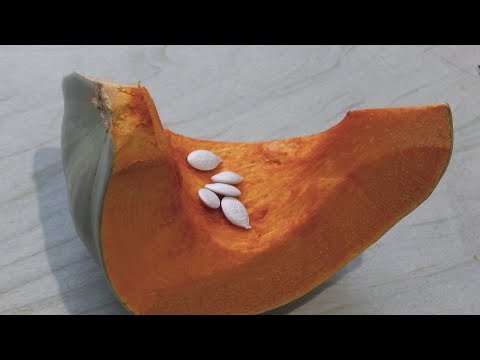 Видео: САМЫЕ  СЛАДКИЕ   И ВКУСНЫЕ СОРТА ТЫКВЫ ДЛЯ  СИБИРИ  . СОРТА ТЫКВЫ  СЕЗОН 2021Г