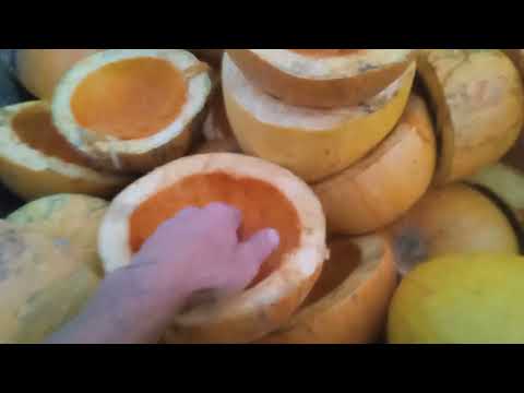 Видео: Сушка для гарбузового насіння. 
