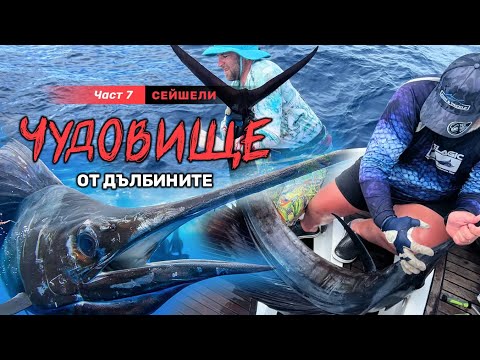 Видео: Идърпах НАЙ - ЧУДОВИЩНАТА РИБА от дълбините /  -  Новото морско приключение СЕЙШЕЛИ - 7 част