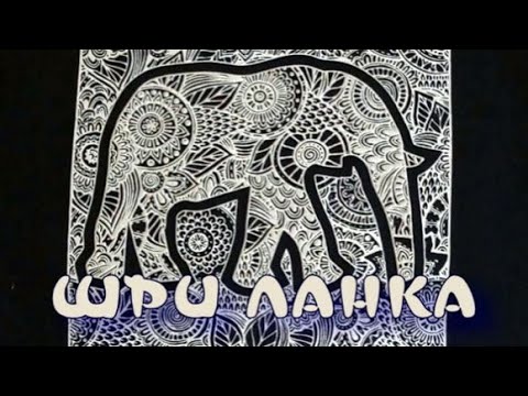 Видео: Шри Ланка без фильтров, отель "Club Palm Bay" 4*