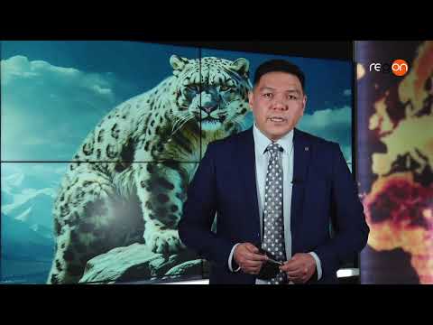 Видео: 25.10.2025 Күндеми | Жума жыйынтык || Регион ТВ