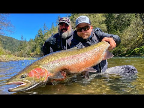 Видео: БЕЗУМНАЯ РЫБАЛКА НА МОНСТРОВОГО СТАЛЬНОГОЛОВОГО РЫБА! Эпические ЛОВЛИ ПОПЛАВКОВ! (НОВЫЙ ИНТЕГРАЛЬ...