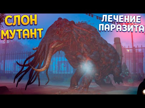 Видео: ЛЕЧЕНИЕ СЛОНА С ПАРАЗИТОМ ( Zoochosis )