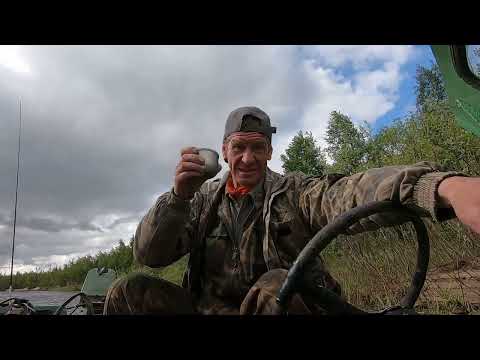Видео: 17 Июня. Только уговорами... Но неплохо наловил.