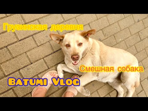 Видео: Универмаг Озургети продолжение
