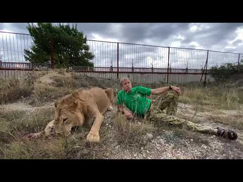 Видео: Мы забрали мясо у львов ЧТОБЫ ОНИ ПРОГОЛОДАЛИСЬ ДО УТРА !