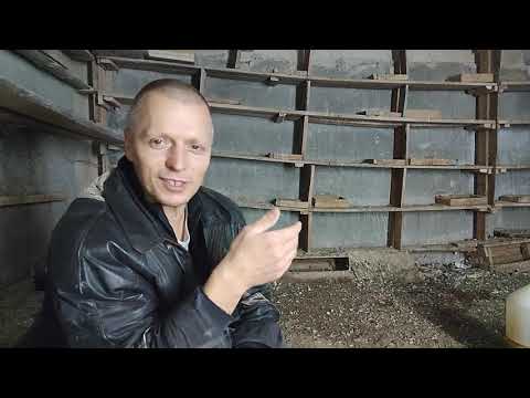 Видео: Правильное кормление голубей, один из важнейших аспектов разведения здоровой птицы