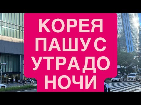 Видео: ПАШУ с УТРА до НОЧИ 7 лет в #КОРЕЕ
