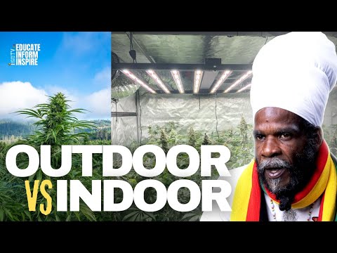 Видео: Действительно ли уличные травы лучше домашних? Мастер-гровер объясняет