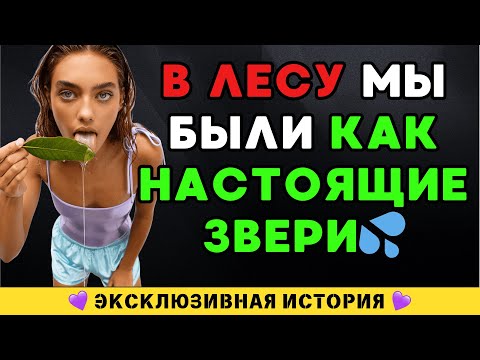 Видео: Теща повела меня в лес и там началось настоящее приключение в дикой природе