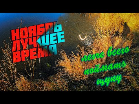 Видео: ЩУКА ОСЕНЬЮ НА СПИННИНГ! НЕ совершай МОИХ ОШИБОК! ЛОВИ В ПРАВИЛЬНОЕ ВРЕМЯ на ДЖИГ!