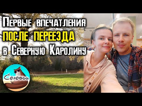 Видео: Первые впечатления после переезда из Флориды в Северную Каролину