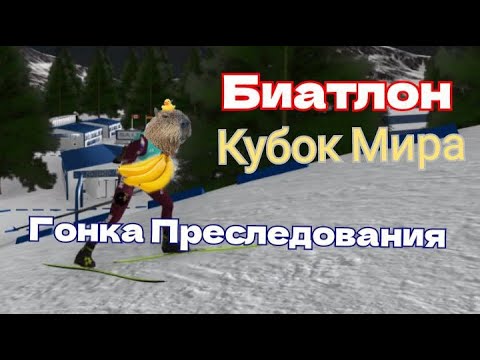 Видео: Биатлон. Кубок Мира. Солт Лейк Сити. Гонка Преследования. NGL Biathlon