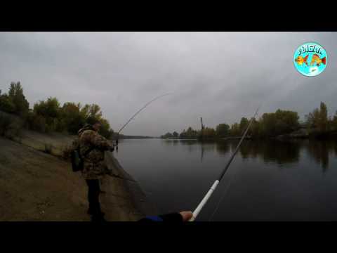 Видео: Ультралайт.Ловля окуня. Различие между TENRYU Lunakia Sonic до 5 гр  и Finezza Prototype  до 5 гр
