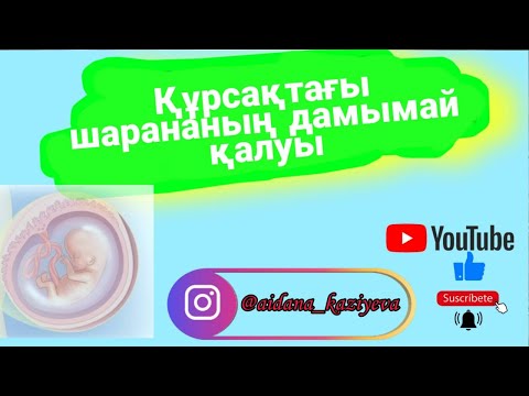 Видео: "Замершая беременность" себептері / Құрсақтағы шарананың дамымай қалу себептері/ Қыз- келіншектерге