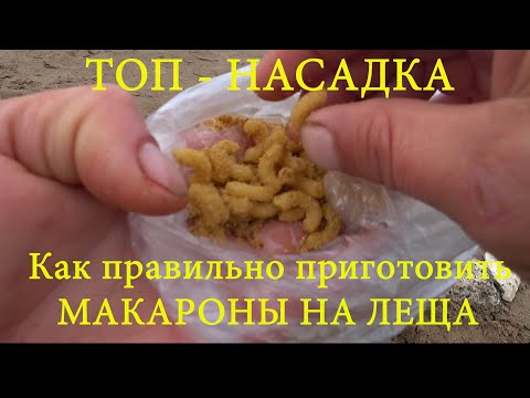 Видео: ТОП-насадка на ЛЕЩА #рыбалка #лещ #насадкадлярыбалки