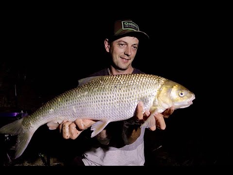 Видео: Рибалка Дністер - ШТРАФ 10 ТИС ГРН