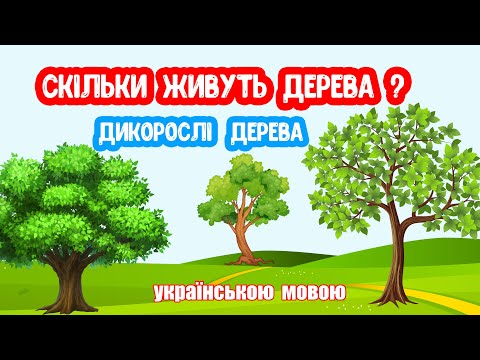 Видео: Скільки Живуть ДЕРЕВА? Дикорослі дерева