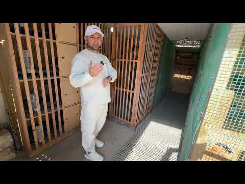 Видео: Спаравали 15 пар 