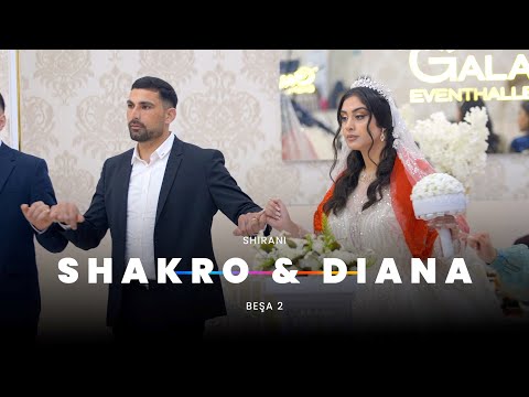 Видео: Shakro & Diana // Shirani//Езидская помолвка//Dawata Ezdia 2023 PART 2