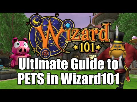 Видео: Полное руководство по питомцам в Wizard101