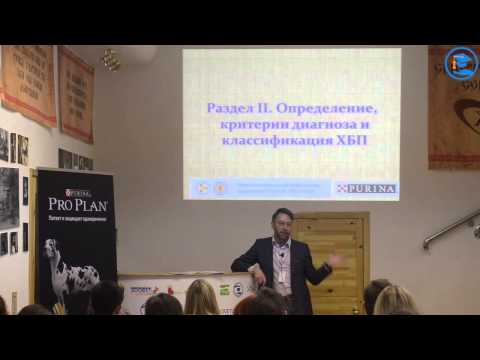 Видео: «ХПБ у мелких домашних животных. ХПН - диагноз или симптомокомплекс?», Р. Леонард
