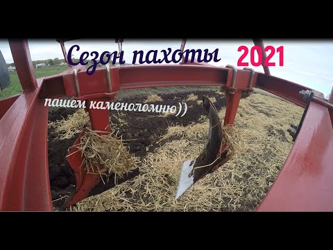 Видео: открываем осений сезон пахоты 2021 трактором 25 . Татарско -китайский плуг пашет супер!)
