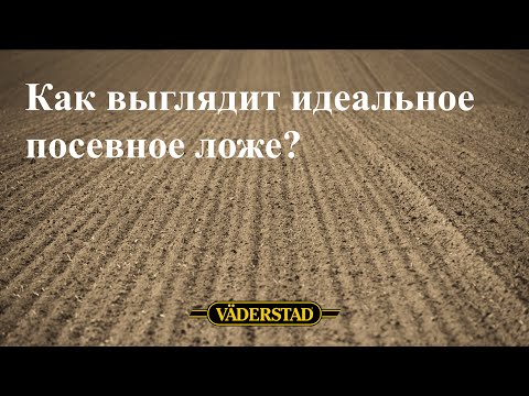 Видео: Как выглядит идеальное посевное ложе?