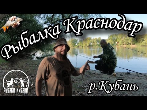 Видео: РЫБАЛКА на Кубани | 5 Минут от города