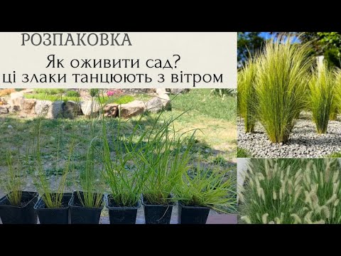 Видео: Знову розпаковка, знову злаки. З ними ваш сад буде по справжньому живим